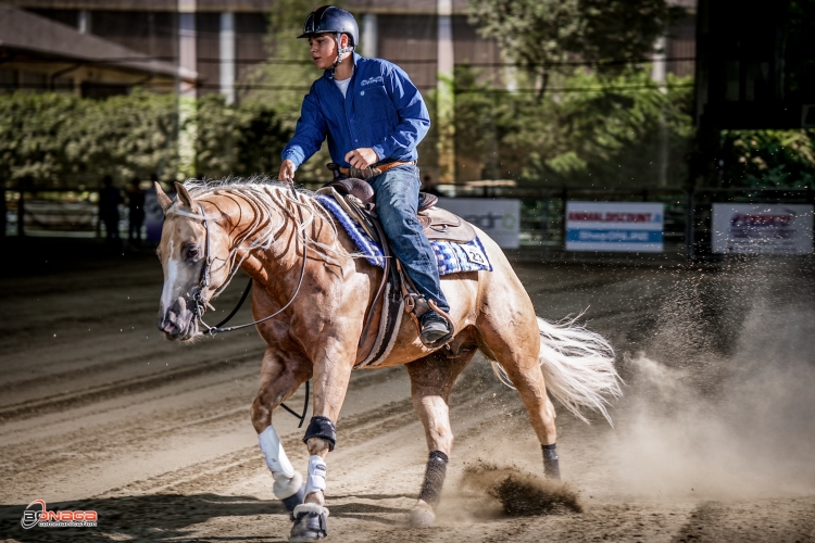 4 tappa APCR 2024 - BONZANO MANUELE &amp; MR SHINES score 71,5