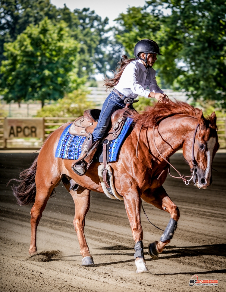 4 tappa APCR 2024 - PONENTE EVELIN &amp; FORREST GUN score 67