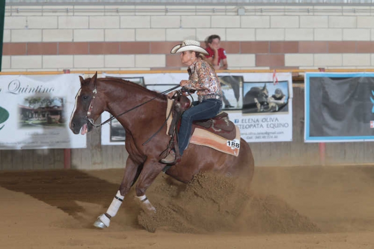 7yo&amp;Up e 5 tappa APCR 2017 - BALDI ELENA sul suo ARC JERSEY OUT con score 68,5