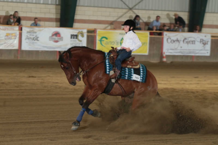 2 tappa APCR 2017 - SERASIO GIULIA su SMOKE STAR RICOCHET di SERASIO CARLANGELO con score 71